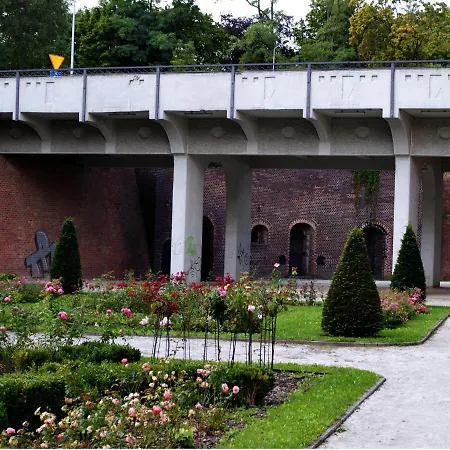 W Glogowie * Głogów